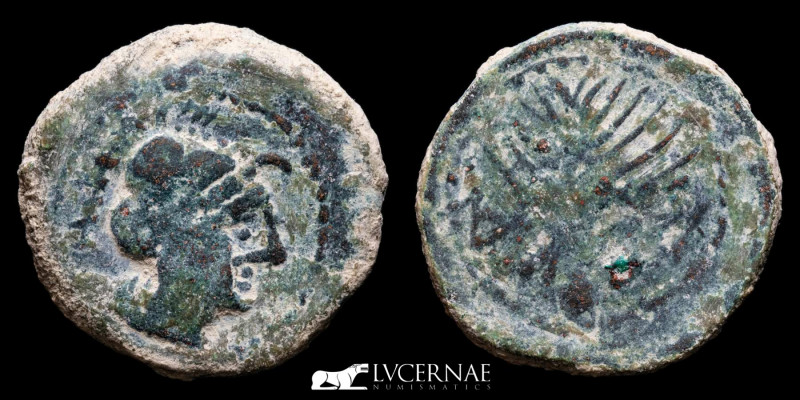 Ancient Hispania, Laelia ( Olivares. Sevilla)
Bronze Semis (9,81 g., 25 mm.) 50-...