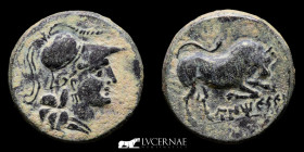 Ancient Hispania - Unticescen Bronze Æ Semis 9.85 g. 27 mm. Unticescen  130-90 BC Extremely fine