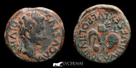 Hispain Augustus Æ Bronze Æ Semis 6.37 g. 22 mm. Cartagonova 14-37 AD Good Very Fine