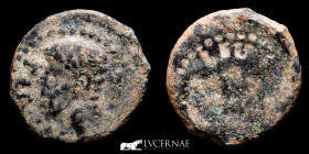 Augustus bronze Brockage Quadrans 2,48 g. 16 mm. Colonia Patricia 27 B.C.-14 A.D. VF