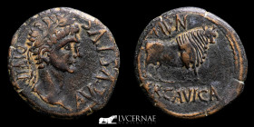 Augustus Bronze As 12,15 g. 27 mm Municipium Ercavica (Cuenca) (27 B.C-14 AD) Very fine (MBC)