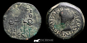 TIberius - Acci Bronze As 16,30 g., 28 mm. Guadix,Granada 14-19 A.D. Good Very fine