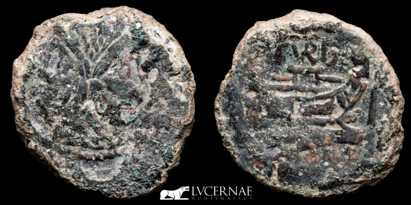 Roman Republican - C. Papirius Turdus - Æ As (23.93 g 35 mm). 169-158 BC. 

Laur...