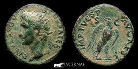 Divus Augustus, under Titus Bronze As 11.61g, 27mm, 12h. Rome 80-81 AD Good very fine