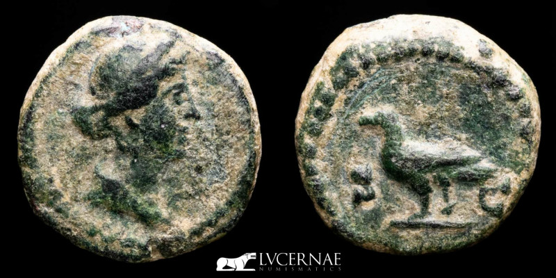 Roman Empire - Anonymous Æ Quadrans (2.32 g. 14 mm.). Time of Domitian to Antoni...
