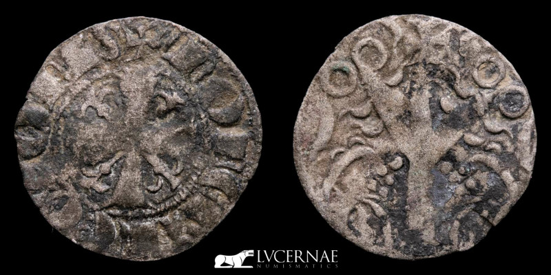 Spain - Alfonso IX (1188-1230) billon Dinero (0.51 g. 16 mm.). No mint. 

+ IADE...
