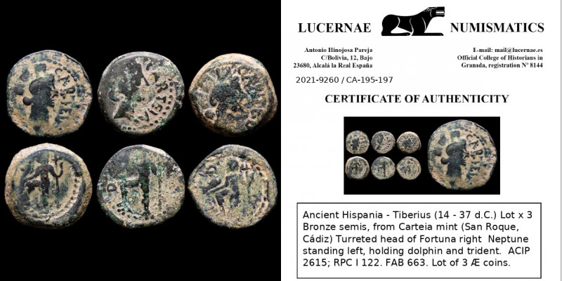 Ancient Hispania - Tiberius (14 - 37 d.C.) Lot x 3 Bronze semis, from Carteia mi...