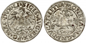 Lithuania 1/2 Grosz 1547 Vilnius. Sigismund II Augustus (1545-1572). Obverse Lettering: SIGIS AVG REX PO MAG DVX LI. Reverse Lettering: MONETA MAGNI D...