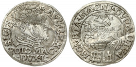 Lithuania 1 Grosz 1548 Vilnius. Sigismund II Augustus (1545-1572). Obverse: Crowned bust facing right. Reverse: Lithuanian knight on horseback; date b...