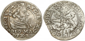Lithuania 1 Grosz 1568 Tykocin. Sigismund II Augustus (1545-1572). Obverse: Crowned bust facing right. Reverse: Lithuanian knight on horseback; date b...