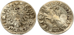 Lithuania 1 Grosz 1601(10) Vilnius. Sigismund III Vasa (1587-1632). Obverse: Displayed eagle in inner circle. Reverse: Vytis on horseback left; date i...
