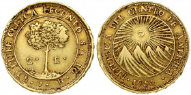 Central American Republic 2 Escudos 1850CR JB Obverse: Sun rising over mountains. Reverse: Tree divides denomination. Fineness: 0.875. Gold 6.32g. KM ...