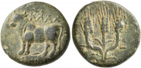 BITHYNIA. Kalchedon. mid-late 4th century BC. Dichalkon (Bronze, 15 mm, 3.07 g, 6 h). KAΛX Bull standing left on grain-ear right. Rev. Bundle of three...