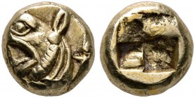 IONIA. Phokaia. Circa 625/0-522 BC. 1/24 Stater (Electrum, 6 mm, 0.60 g). Head of a griffin to left; behind, small seal. Rev. Quadripartite incuse squ...