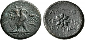 PISIDIA. Antioch. 1st century BC. Tetrassarion (Bronze, 21 mm, 7.25 g, 6 h), Earid..., magistrate. Eagle standing right on thunderbolt, wings spread; ...