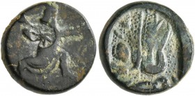 PERSIA, Achaemenid Empire. Time of Artaxerxes III to Darios III , circa 350-333 BC. Chalkous (Bronze, 13 mm, 2.32 g). The Persian Great King, wearing ...