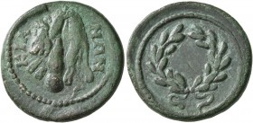 BITHYNIA. Cius. Pseudo-autonomous issue . Hemiassarion (Bronze, 20 mm, 4.24 g, 6 h), time of the Antonines, 138-192. KIA-NΩN Lion Skin draped over clu...