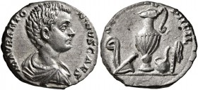 Caracalla, Caesar, 196-198. Denarius (Silver, 17 mm, 3.33 g, 11 h), Rome, 196. M AVR ANTONINVS CAES Bare-headed, draped and cuirassed bust of Caracall...