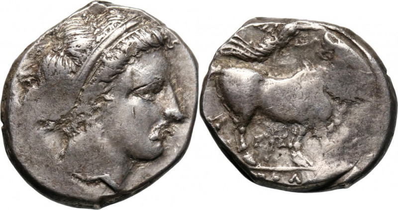 Grecja, Campania, Naples, Didrachma 300-275 BC Weight 7,35 g, 19 mm.
 Waga 7,35...
