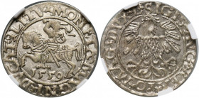 Zygmunt II August, półgrosz 1559, Wilno