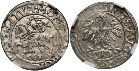 Zygmunt II August, półgrosz 1561, Wilno