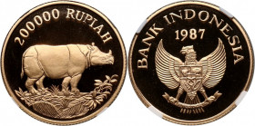 Indonesia, 200000 Rupiah 1987, Javan rhinoceros