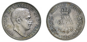 Vittorio Emanuele III - Somalia Italiana 

Rupia 1920, argento gr. 11,65. Pagani 964, MIR 1175g.
Rarissima. Spl/q.Fdc

Ex asta Montenapoleone 7, ...