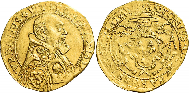 Avignone. Urbano VIII (Maffeo Barberini), 1623-1644 

Doppia 1639, AV 6,59 g. ...