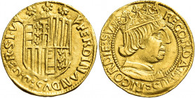 Napoli. Ferdinando I d’Aragona, 1458-1494 

Ducato, AV 3,48 g. FERDINANDVS D G R S I V Stemma coronato. Rv. RECORDAT MISERICORDIE SV Busto coronato ...