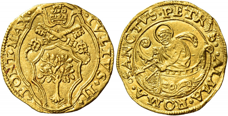 Roma. Giulio II (Giuliano della Rovere), 1503-1513 

Fiorino di camera, AV 3,3...