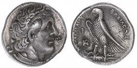 Royaume lagide, Ptolémée Ier (305-285 av J-C). Tétradrachme ND (après 290 av. J.-C.), Alexandrie.

CPE.168 - Sv.255 - SNG Cop.70 ; Argent - 13,93 g ...
