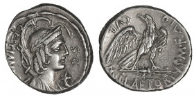 M. Plaetorius M.f. Cestianus. Denier ND (67 av. J.-C.), Rome.

RRC.409/1 - Syd.808 ; Argent - 3,91 g - 17,5 mm - 4 h

TTB.