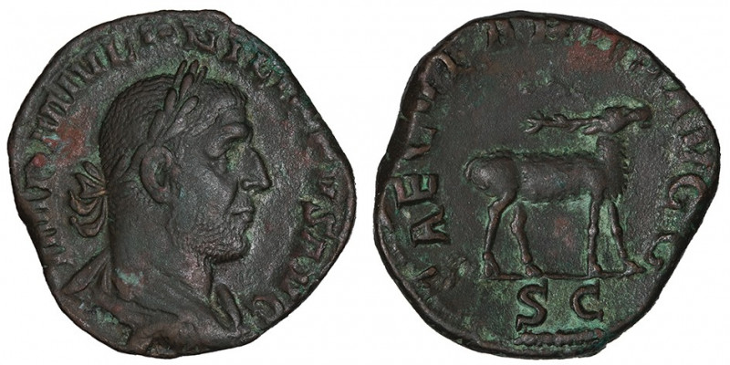 Philippe Ier (244-249). Sesterce 248, Rome.

RIC.160a ; Bronze - 14,44 g - 27,...