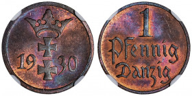 Danzig. 1 pfennig 1930.

KM.140 ; Bronze - 1,63 g - 17 mm - 12 h

NGC MS 64 RB (5949870-011). Superbe à Fleur de coin.