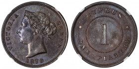 Victoria (1837-1901). 1 piastre 1879.

KM.3.1 ; Bronze - 32 mm - 12 h

NGC MS 61 BN (5949116-004). Superbe.