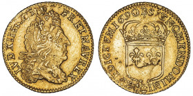 Louis XIV (1643-1715). Demi-louis d’or à l’écu 1690, B, Rouen.

Dy.1436A - G.239 - Fr.430 ; Or - 3,28 g - 20,5 mm - 6 h

Flan réformé, type peu co...