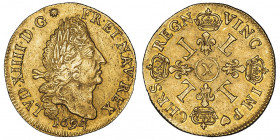 Louis XIV (1643-1715). Double louis d’or aux quatre L 1694/3, X, Amiens.

Dy.1439 - G.260 - Fr.432 ; Or - 13,40 g - 29,5 mm - 6 h

Exemplaire agré...