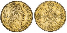 Louis XIV (1643-1715). Double louis d’or aux quatre L 1695, L, Bayonne.

Dy.1439 - G.260 - Fr.432 ; Or - 13,40 g - 29 mm - 6 h

Flan neuf, stries ...