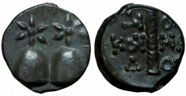 Kolchis. Dioskourias. Orichalcum Æ circa 105-90 BC