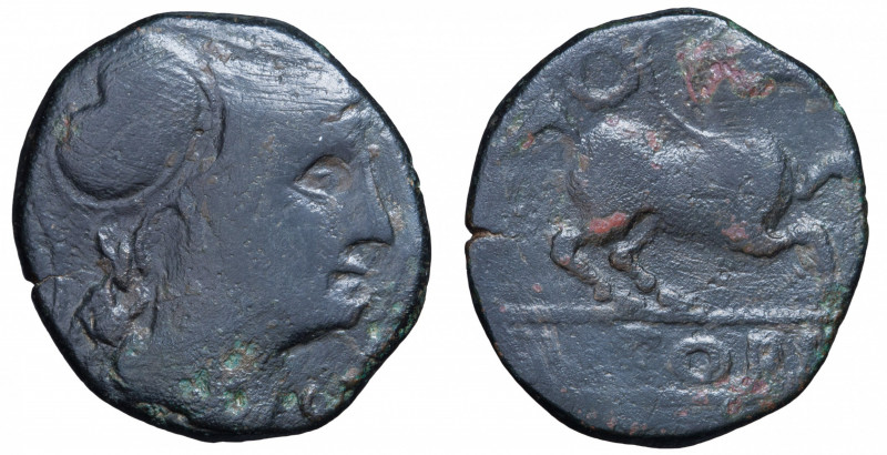 Indigetes. Province of Girona (Emporia / Ampurias). Bronze Æ circa Ist BC.
Obv. ...