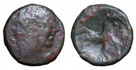 Nedenes, Transalpine Gaul (oppidum of Montlaurès). Bronze au taureau Æ circa 121-45 BC