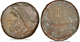 SICILY. Syracuse. Hieron II (ca. 275-215 BC). AE litra (20mm, 3h). NGC Choice VF. Head of Poseidon left, wearing taenia / ΙΕΡΩ-ΝΟΣ / Θ-Φ, trident head...