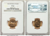 British Colony. Elizabeth II gold Proof Pound 1966 PR66 NGC, British Royal Mint mint, KM6.

HID09801242017

© 2020 Heritage Auctions | All Rights ...