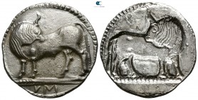 Lucania. Sybaris circa 550-510 BC. Stater AR