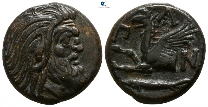 Cimmerian Bosporos. Pantikapaion circa 340-325 BC.
Bronze Æ

20mm., 7,19g.
...