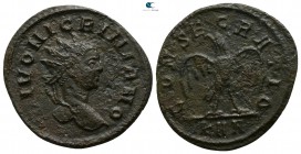 Divus Nigrinian, grandson of Carus AD 284, (struck under his father Carinus, AD 284-285).. Rome. Antoninianus Æ
