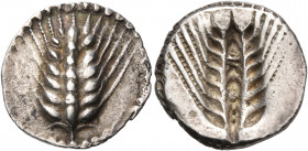 LUCANIA. Metapontum. Circa 510-470 BC. Drachm or Third Stater (Silver, 17.5 mm, 2.75 g, 12 h). [MET] Ear of barley with seven grains; around, border o...
