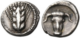 LUCANIA. Metapontum. Circa 440-430 BC. Obol (Silver, 7 mm, 0.41 g, 2 h). Ear of barley with four grains. Rev. Facing bucranium. Noe 346.2. HN III 1500...