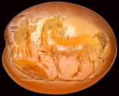 A roman carnelian intaglio. Horse with military trophy.