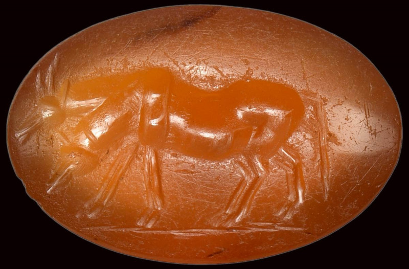 A roman carnelian intaglio. Two heifers. 

2nd century A.D.
8x13x4 mm

The ...